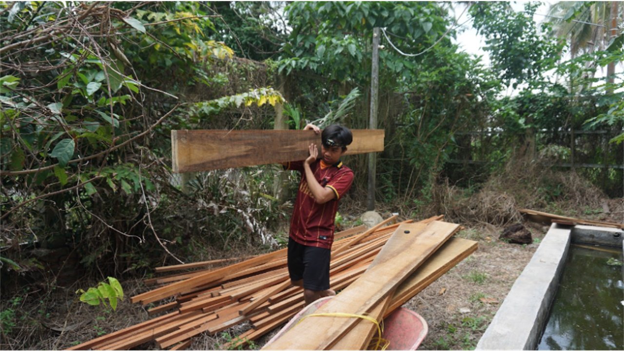 Pemilihan dan pengeringan kayu sebelum jadi sirip RBW
