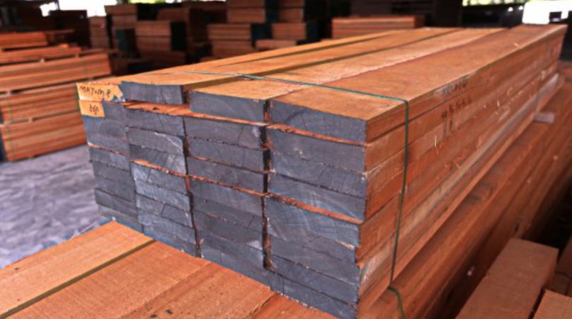 Kayu meranti untuk sirip walet